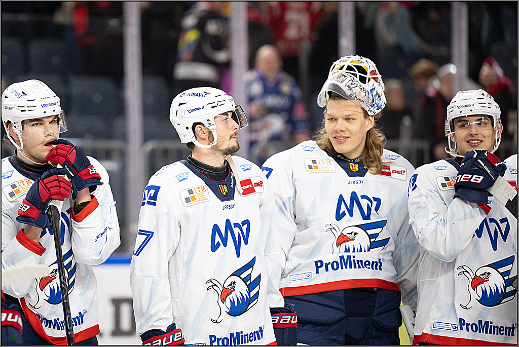 PENNY DEL; Koelner Haie-Adler Mannheim; Koeln, 02.02.2025
