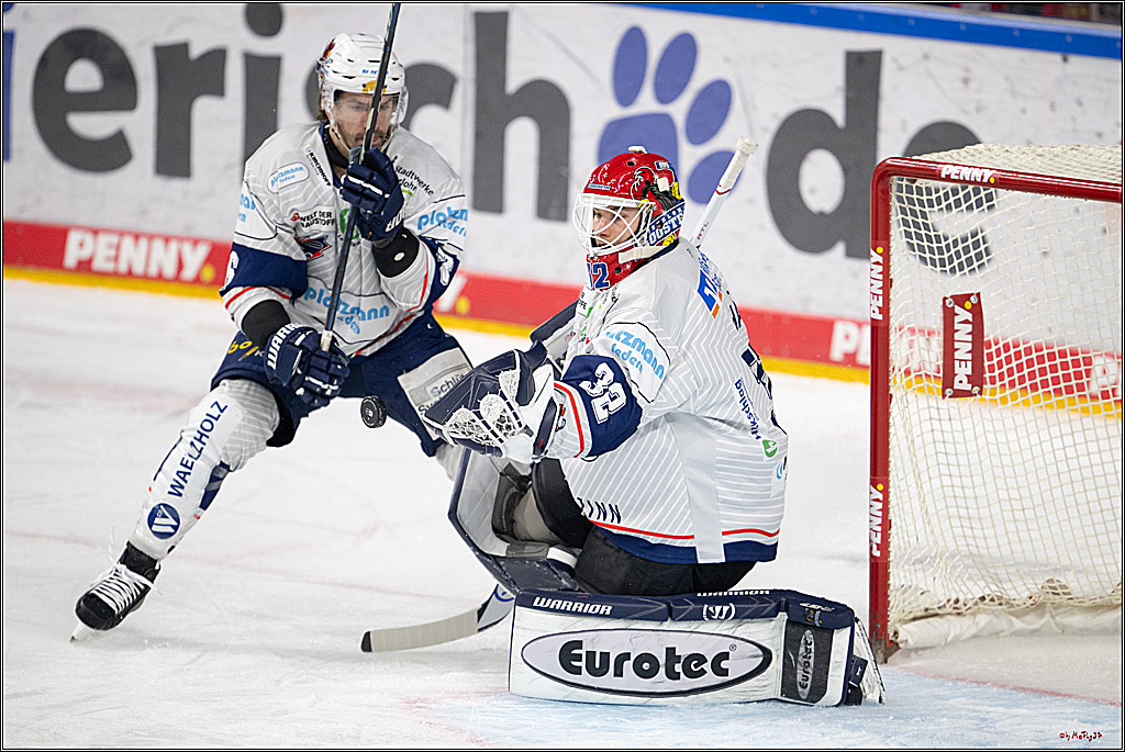 PENNY DEL 1; Kölner Haie - Iserlohn Roosters; Köln, 04.03.2025