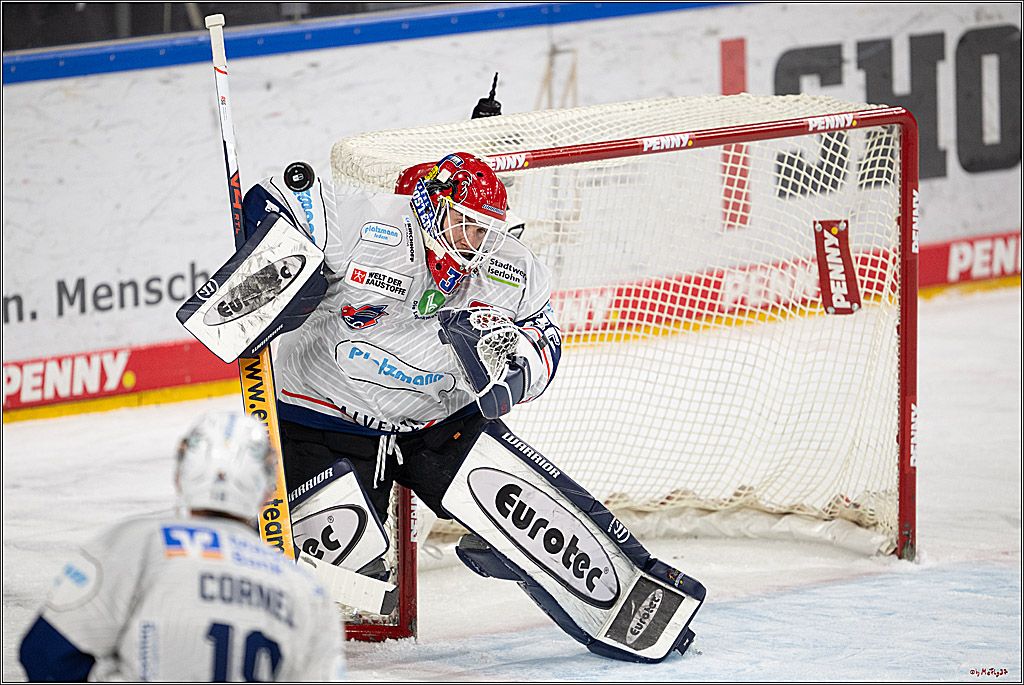 PENNY DEL 1; Kölner Haie - Iserlohn Roosters; Köln, 04.03.2025
