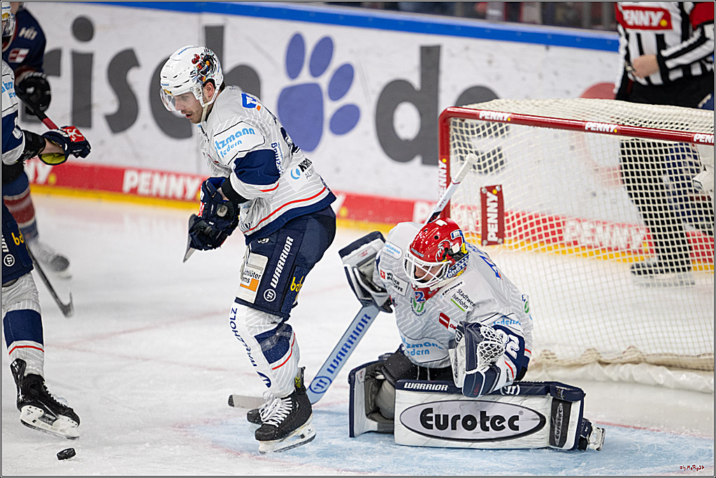 PENNY DEL 1; Kölner Haie - Iserlohn Roosters; Köln, 04.03.2025