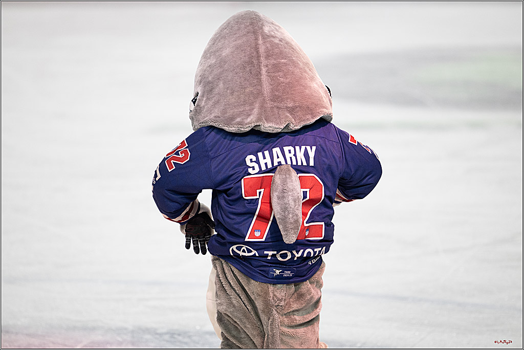 PENNY DEL 1; Kölner Haie - Iserlohn Roosters; Köln, 04.03.2025