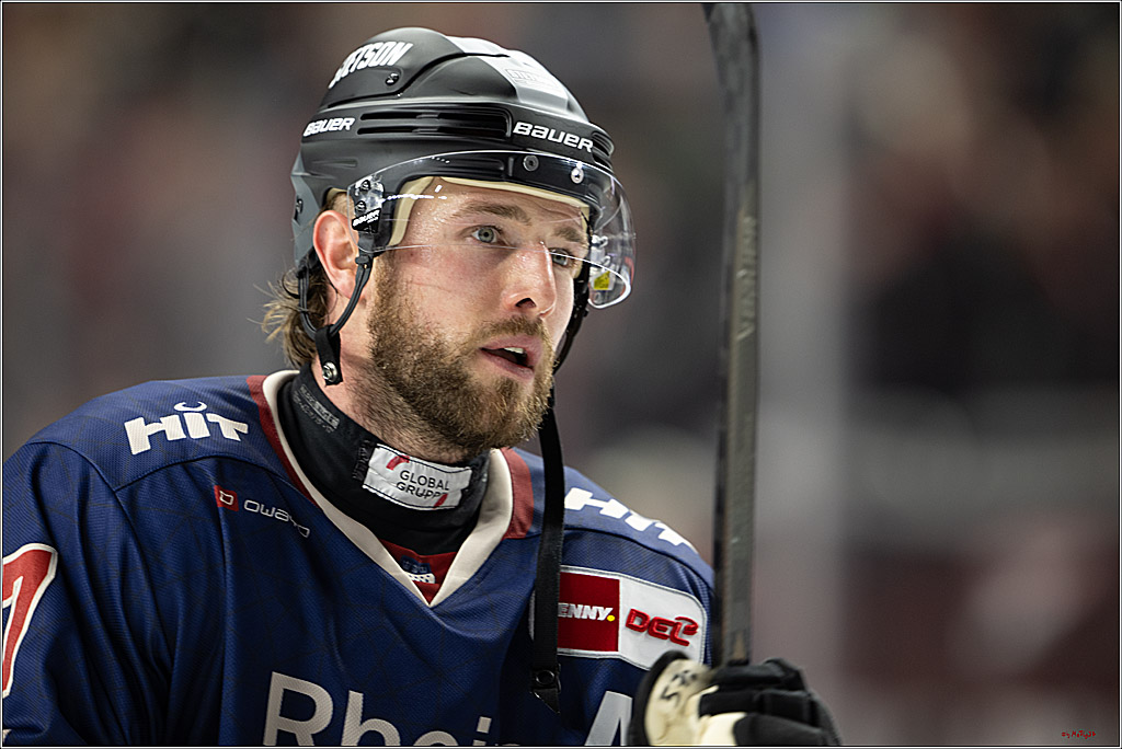 PENNY DEL 1; Kölner Haie - Iserlohn Roosters; Köln, 04.03.2025