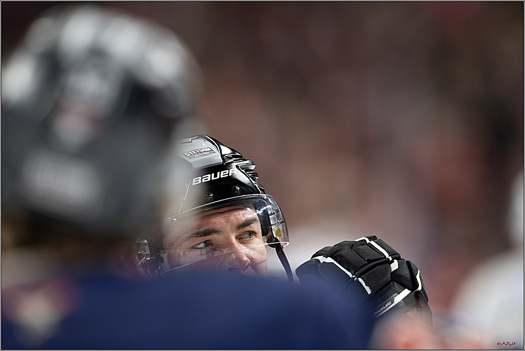 PENNY DEL 1; Kölner Haie - Iserlohn Roosters; Köln, 04.03.2025