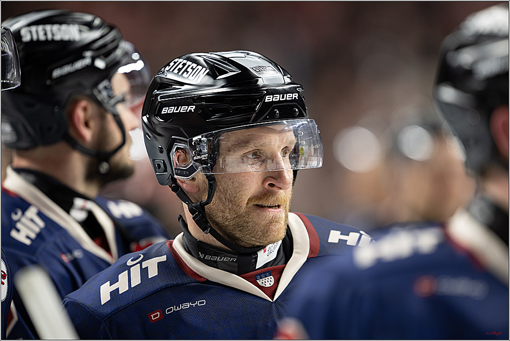 PENNY DEL 1; Kölner Haie - Iserlohn Roosters; Köln, 04.03.2025