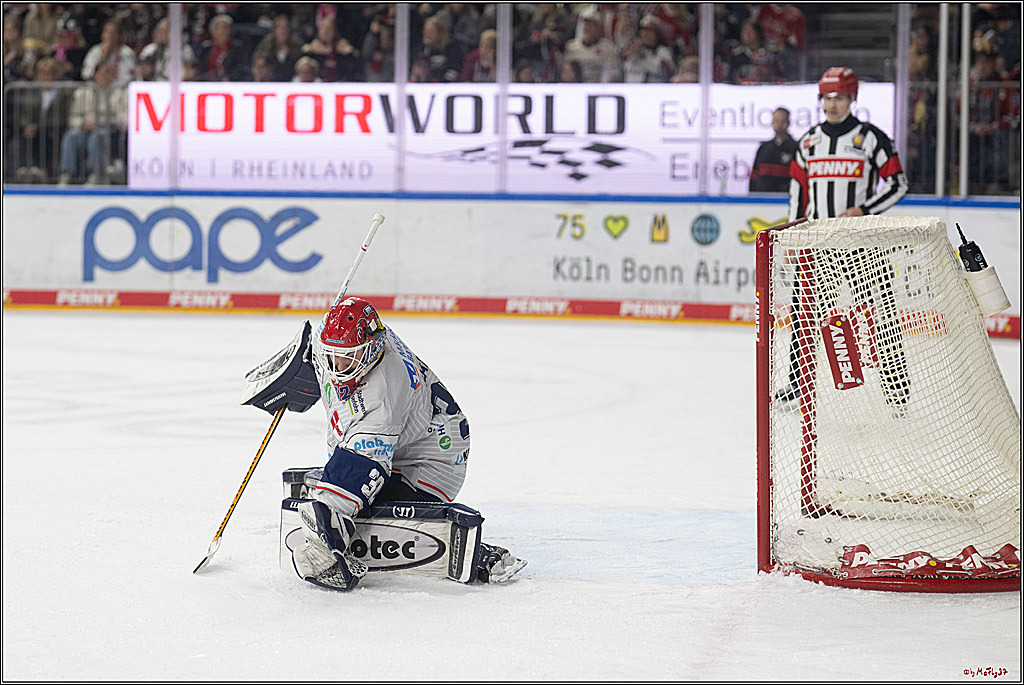 PENNY DEL 1; Kölner Haie - Iserlohn Roosters; Köln, 04.03.2025
