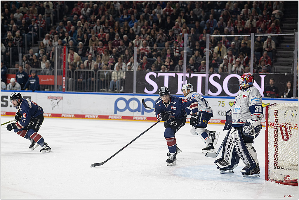 PENNY DEL 1; Kölner Haie - Iserlohn Roosters; Köln, 04.03.2025