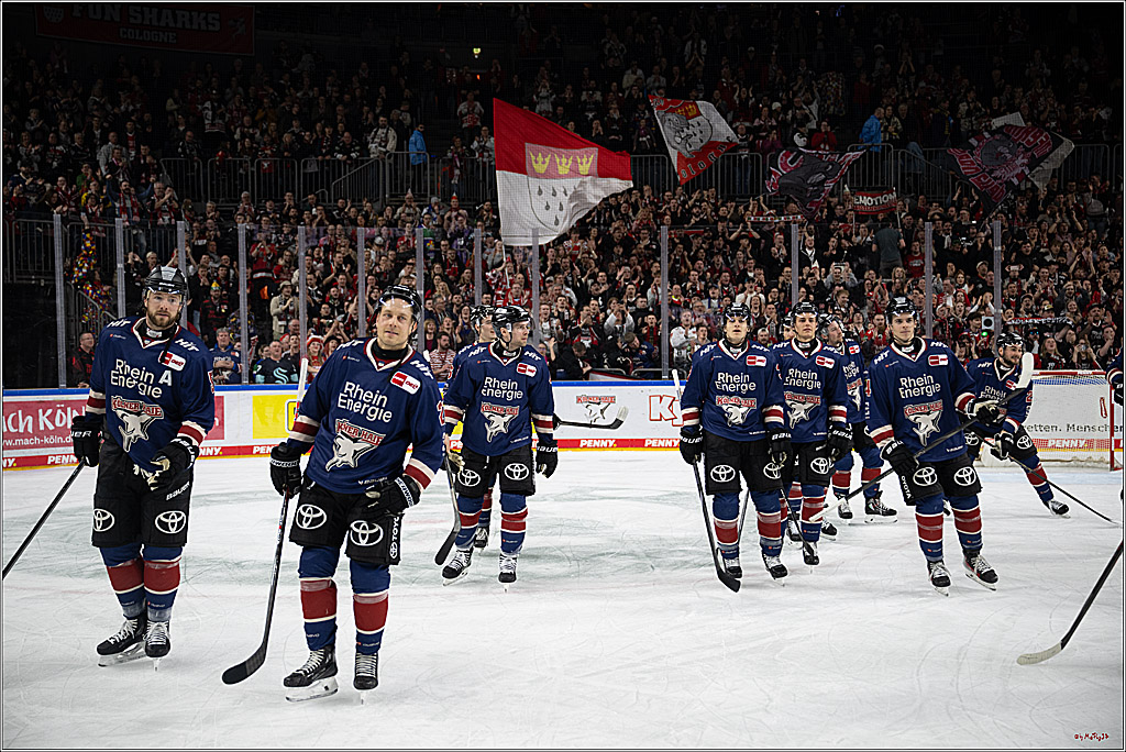 PENNY DEL 1; Kölner Haie - Iserlohn Roosters; Köln, 04.03.2025