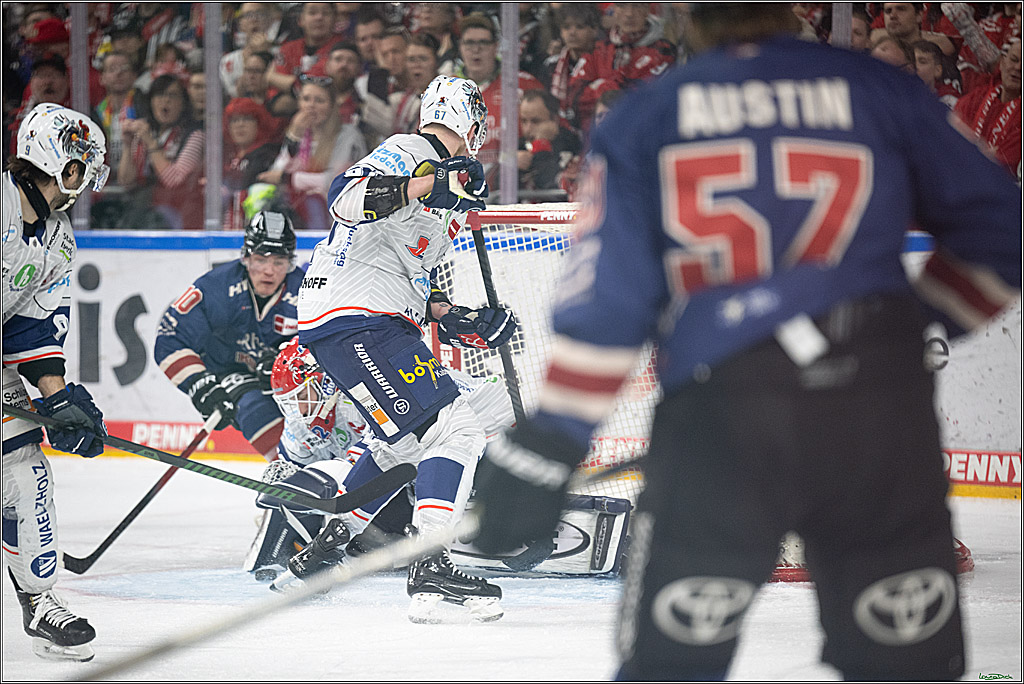 PENNY DEL; Koelner Haie-Iserlohn Roosters; Koeln, 04.03.2025