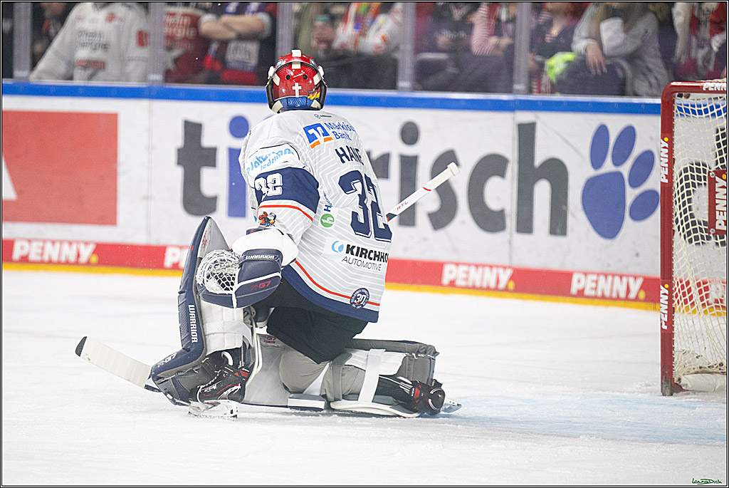 PENNY DEL; Koelner Haie-Iserlohn Roosters; Koeln, 04.03.2025