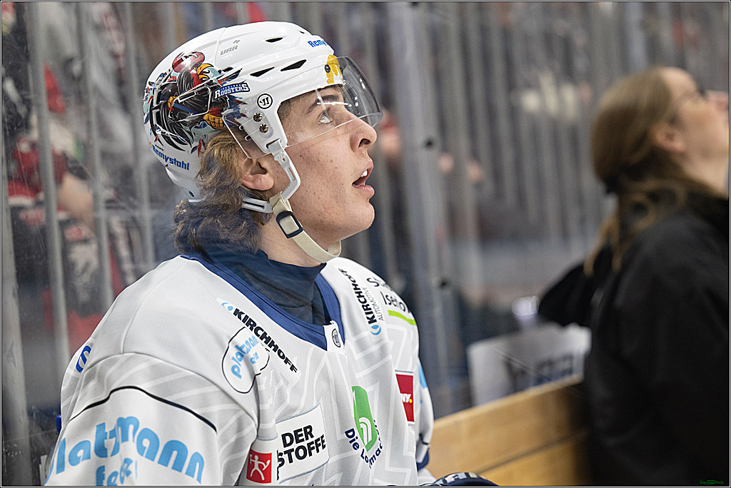 PENNY DEL; Koelner Haie-Iserlohn Roosters; Koeln, 04.03.2025