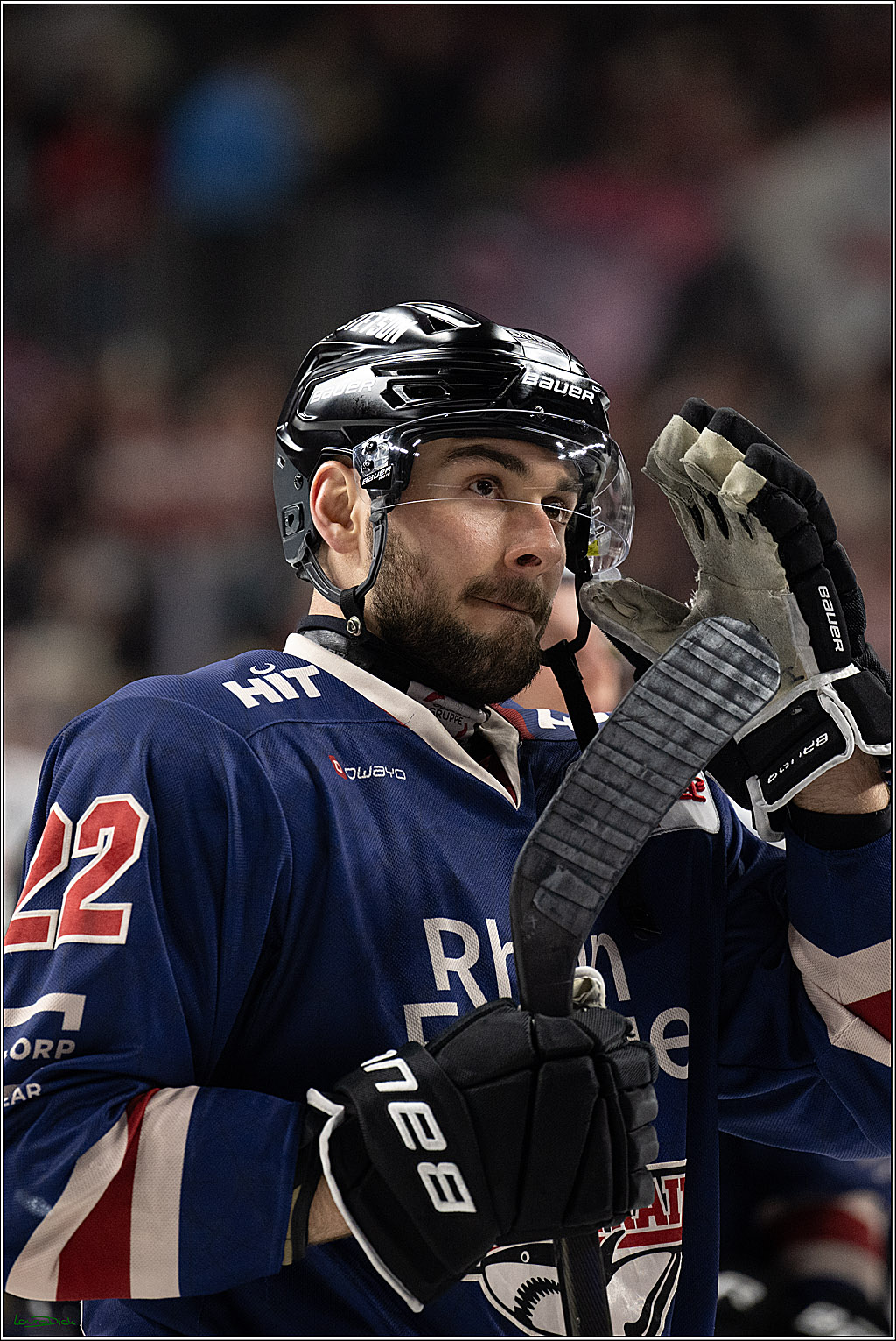 PENNY DEL; Koelner Haie-Iserlohn Roosters; Koeln, 04.03.2025