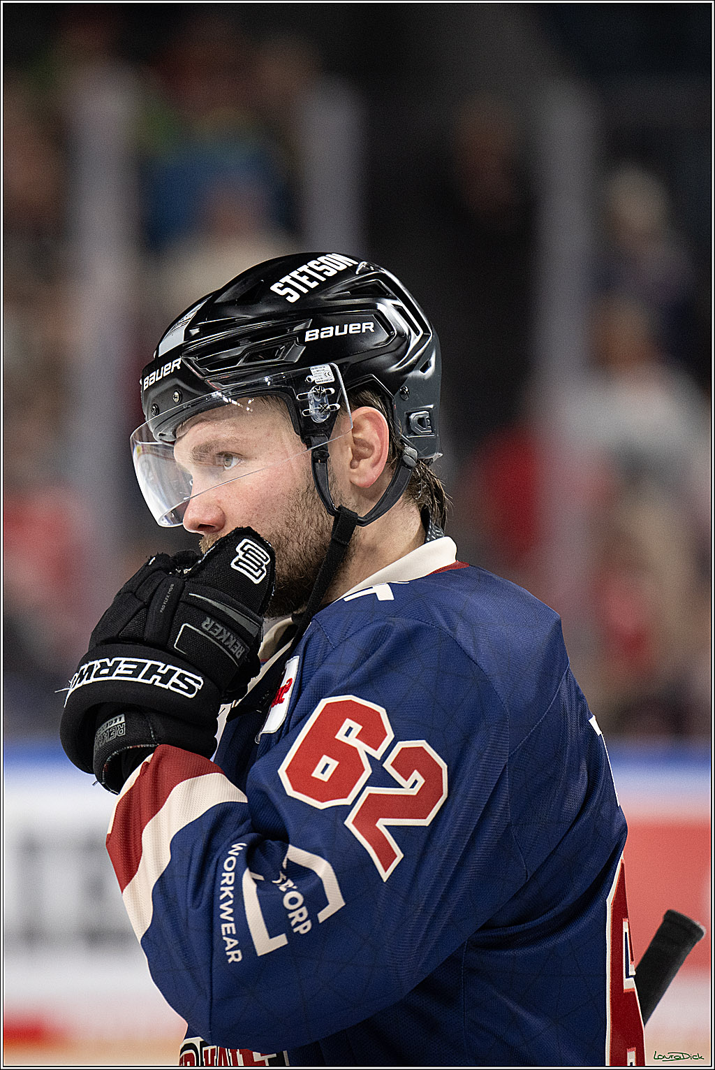 PENNY DEL; Koelner Haie-Iserlohn Roosters; Koeln, 04.03.2025