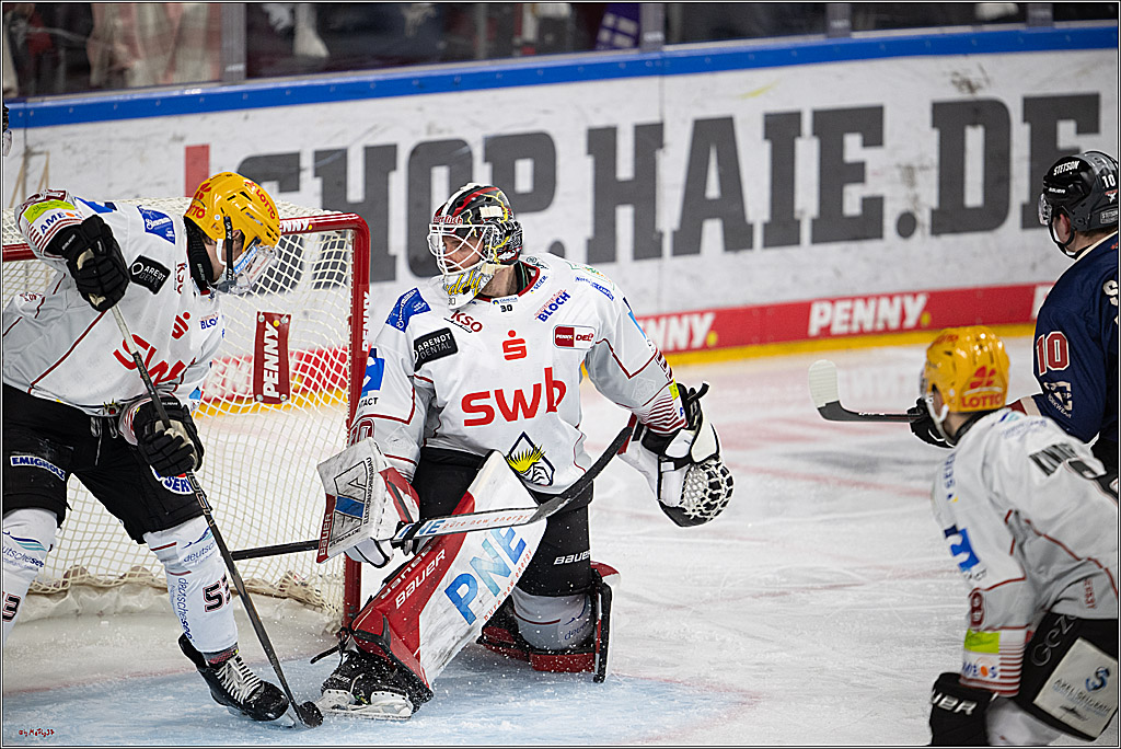 PENNY DEL 1; Kölner Haie - Fischtown Pinguins Bremerhaven; Köln, 07.03.2025