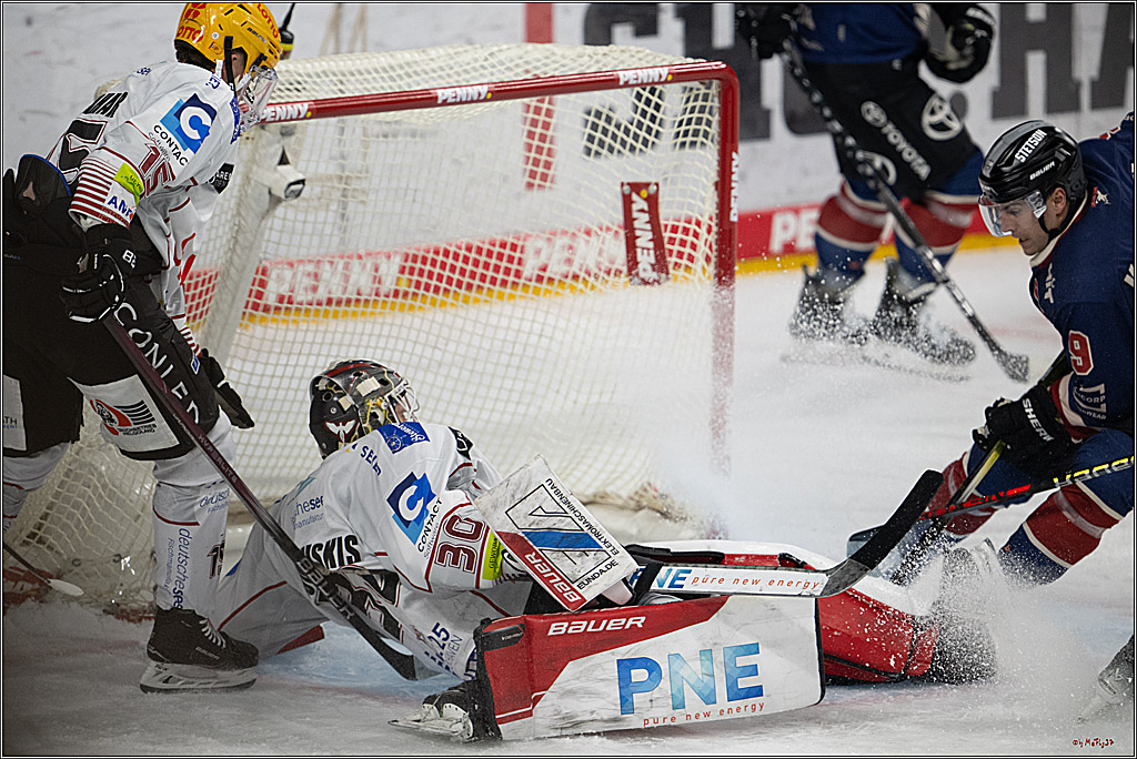 PENNY DEL 1; Kölner Haie - Fischtown Pinguins Bremerhaven; Köln, 07.03.2025