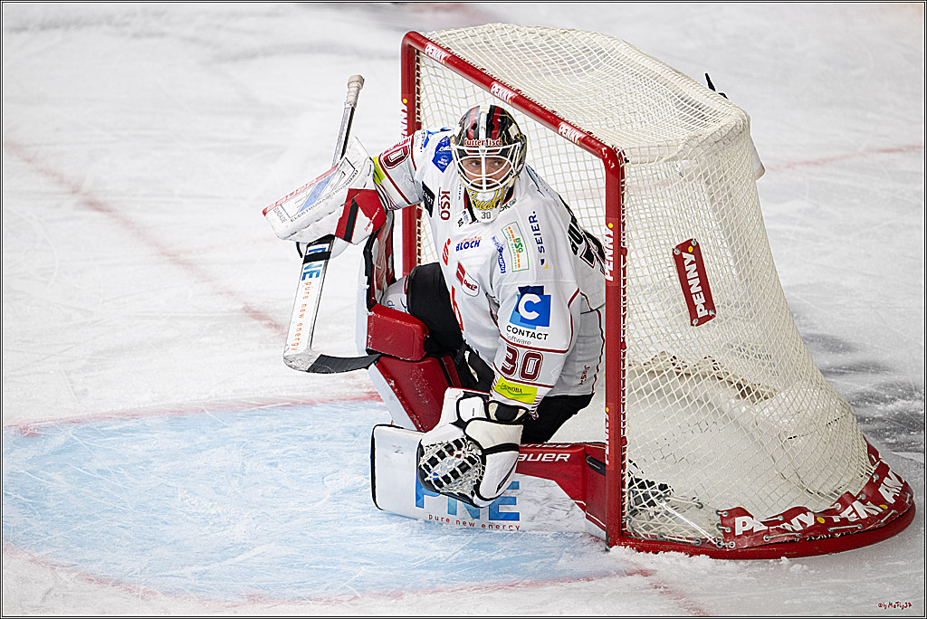 PENNY DEL 1; Kölner Haie - Fischtown Pinguins Bremerhaven; Köln, 07.03.2025