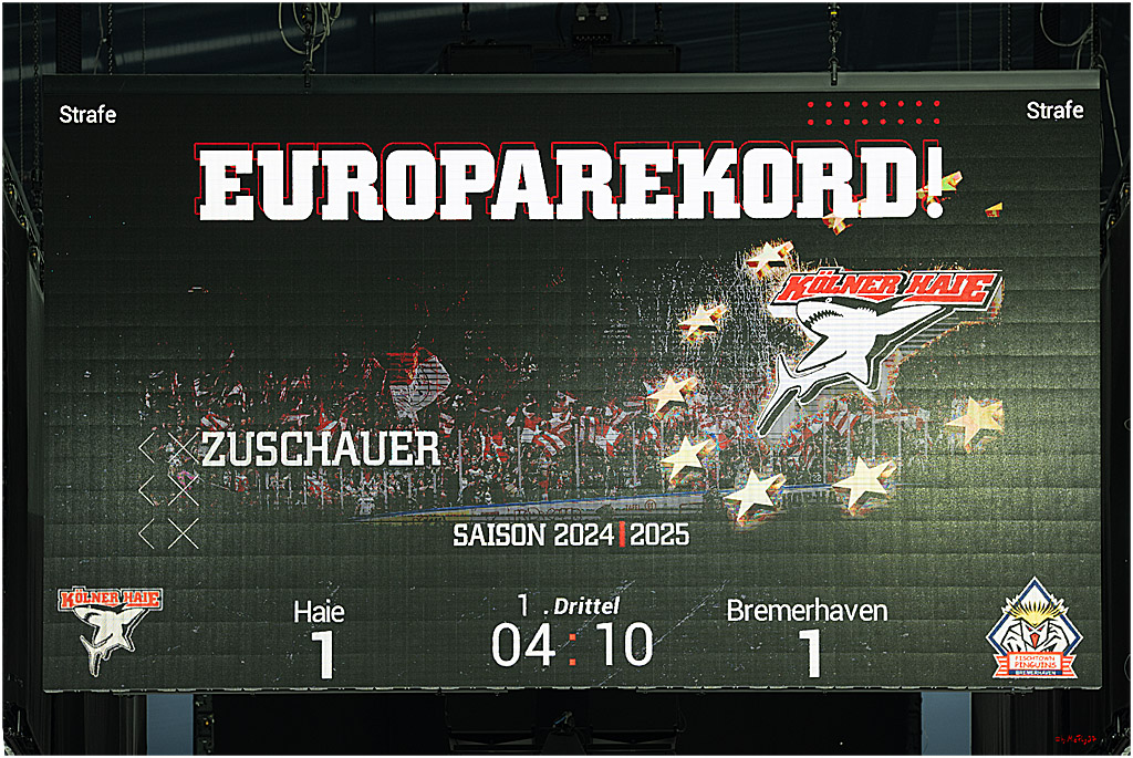 PENNY DEL 1; Kölner Haie - Fischtown Pinguins Bremerhaven; Köln, 07.03.2025
