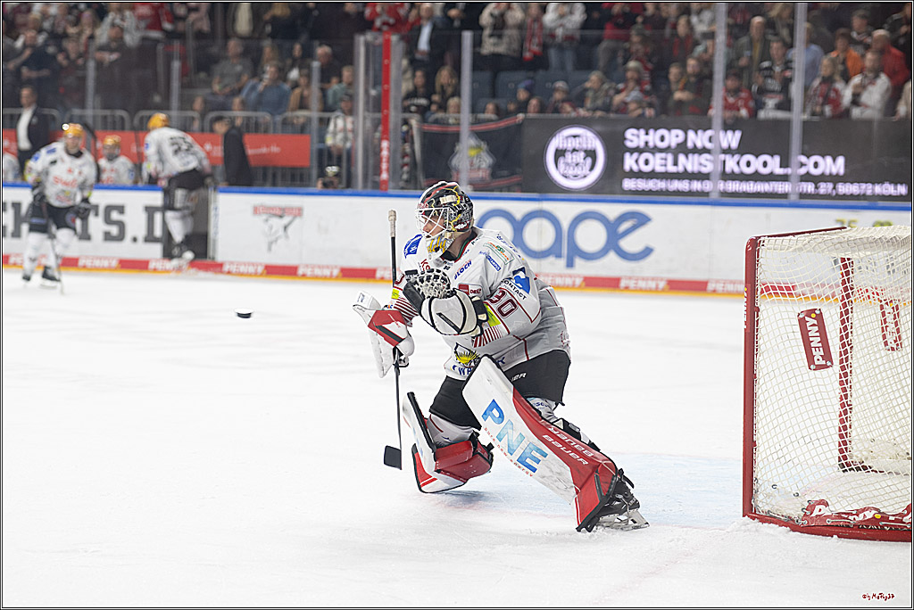PENNY DEL 1; Kölner Haie - Fischtown Pinguins Bremerhaven; Köln, 07.03.2025