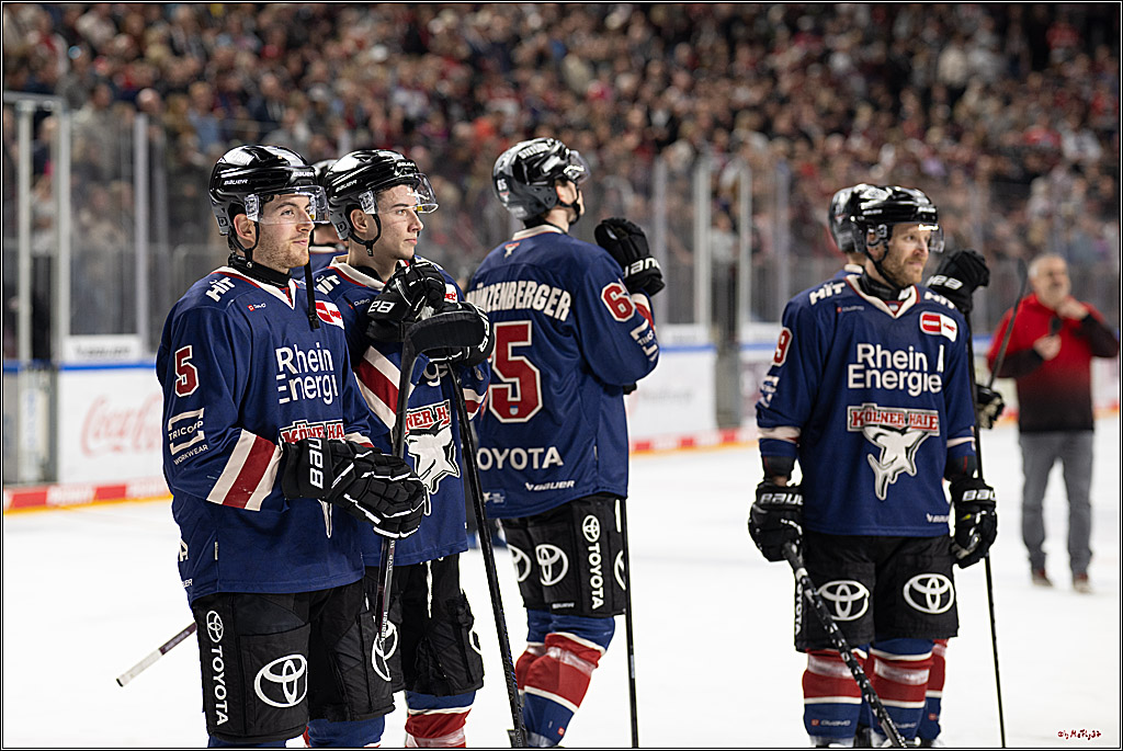 PENNY DEL 1; Kölner Haie - Fischtown Pinguins Bremerhaven; Köln, 07.03.2025