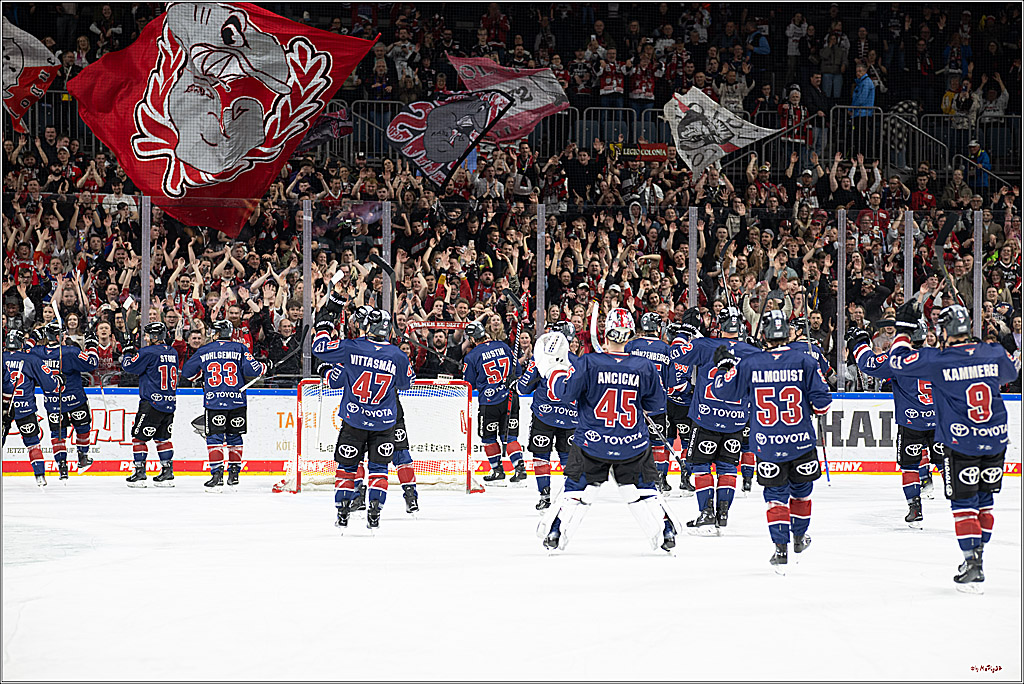 PENNY DEL 1; Kölner Haie - Fischtown Pinguins Bremerhaven; Köln, 07.03.2025