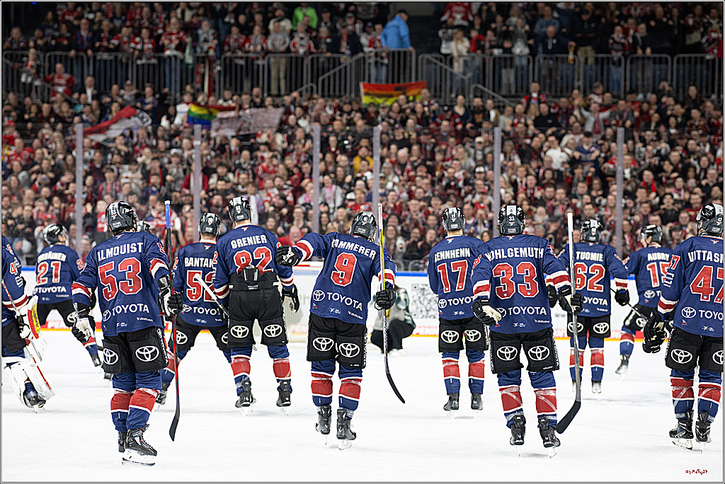 PENNY DEL 1; Kölner Haie - Fischtown Pinguins Bremerhaven; Köln, 07.03.2025