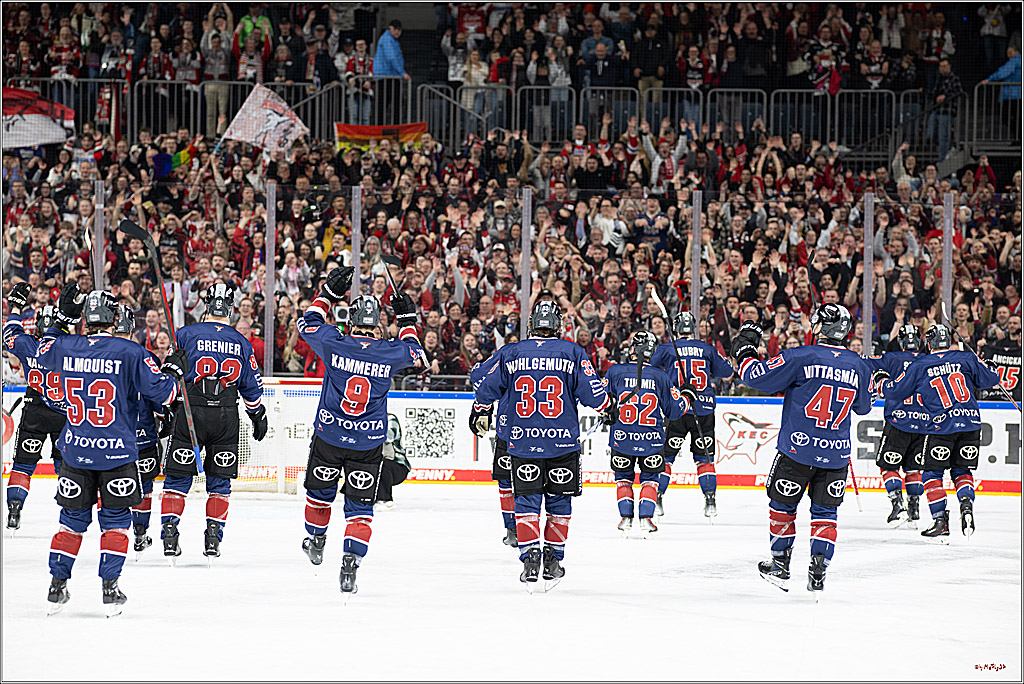 PENNY DEL 1; Kölner Haie - Fischtown Pinguins Bremerhaven; Köln, 07.03.2025