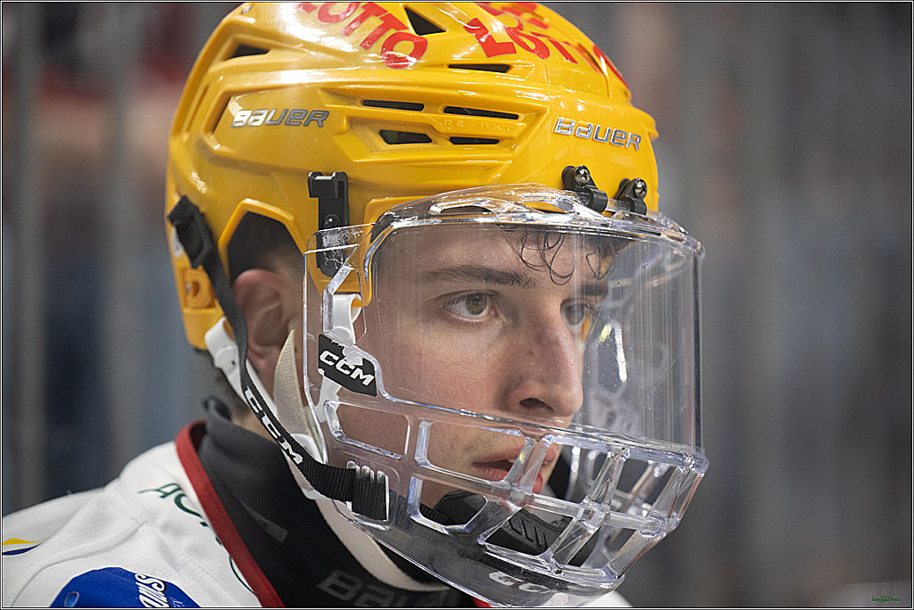 PENNY DEL; Koelner Haie-Fischtown Pinguins; Koeln, 07.03.2025