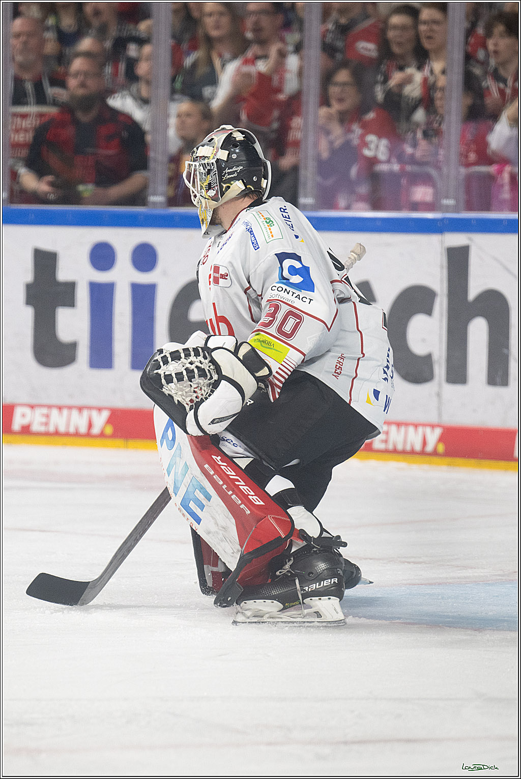 PENNY DEL; Koelner Haie-Fischtown Pinguins; Koeln, 07.03.2025