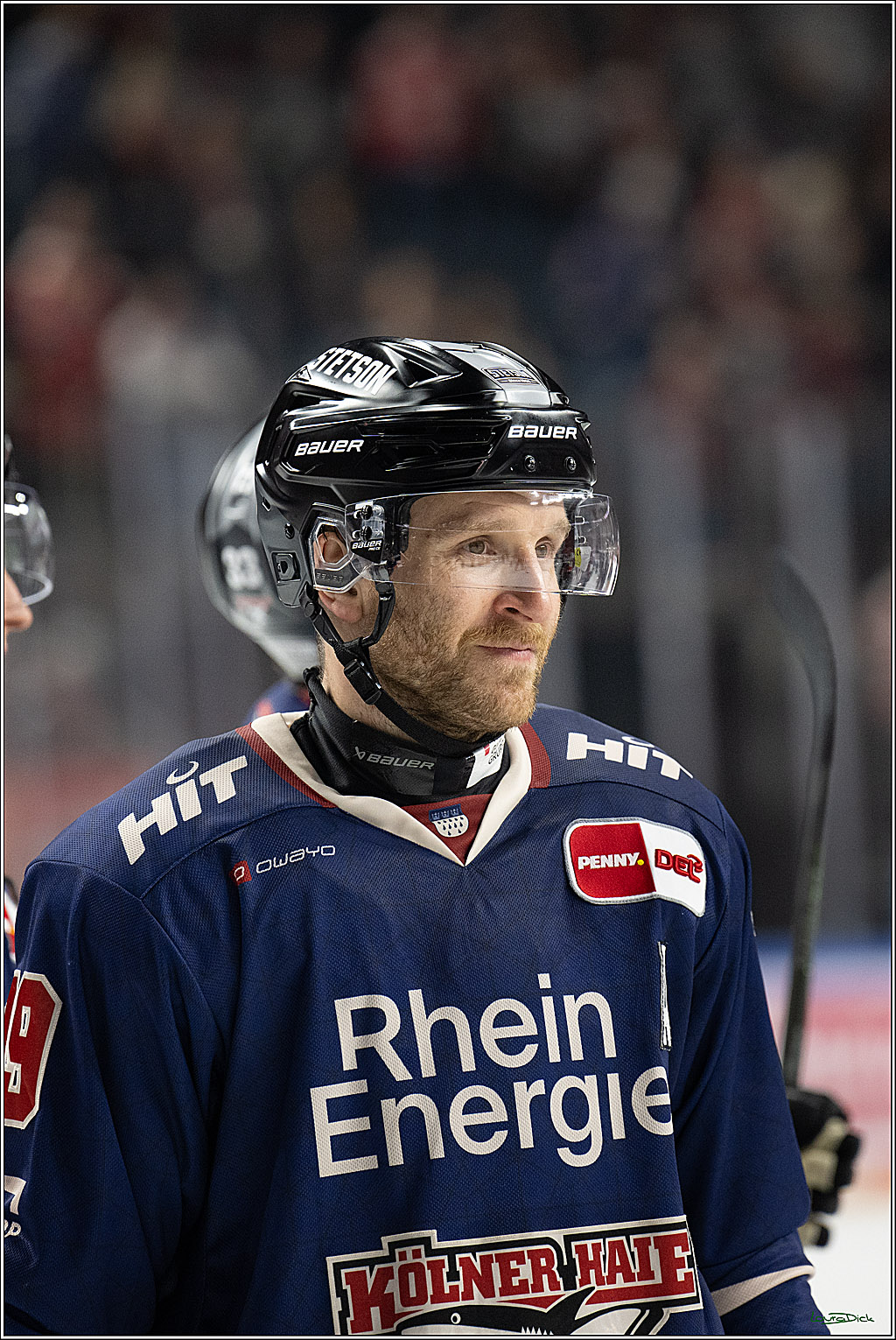 PENNY DEL; Koelner Haie-Fischtown Pinguins; Koeln, 07.03.2025