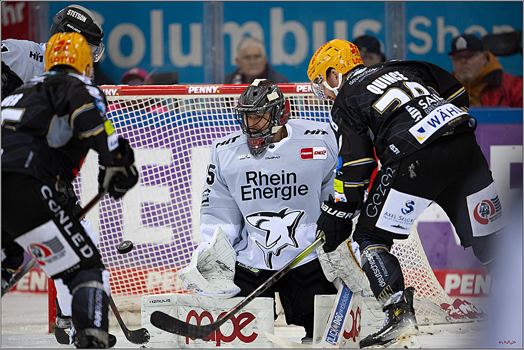PENNY DEL 1 - Playoff Viertelfinale; Fischtown Pinguins Bremerhaven - Kölner Haie; Bremerhaven, 16.03.2025