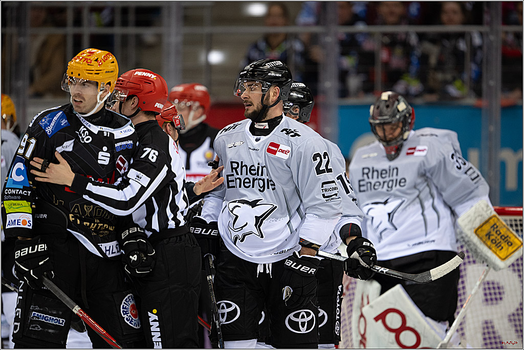 PENNY DEL 1 - Playoff Viertelfinale; Fischtown Pinguins Bremerhaven - Kölner Haie; Bremerhaven, 16.03.2025