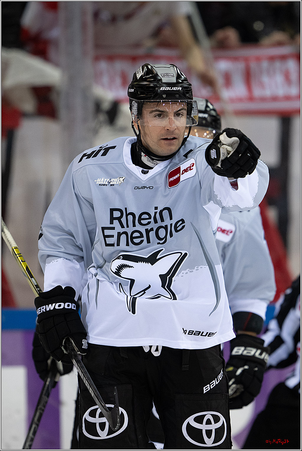 PENNY DEL 1 - Playoff Viertelfinale; Fischtown Pinguins Bremerhaven - Kölner Haie; Bremerhaven, 16.03.2025