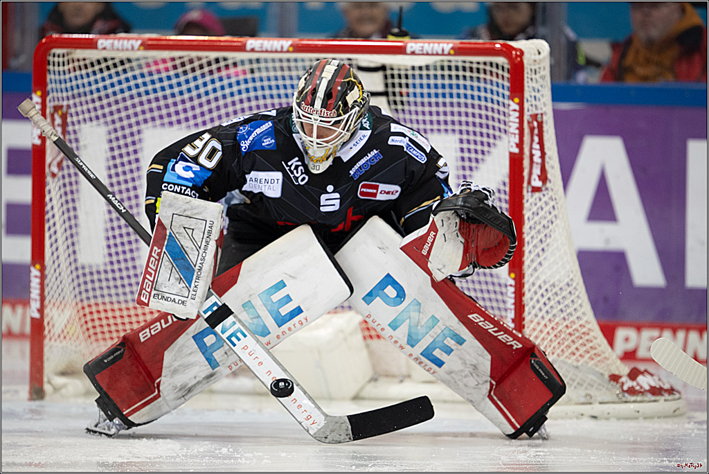 PENNY DEL 1 - Playoff Viertelfinale; Fischtown Pinguins Bremerhaven - Kölner Haie; Bremerhaven, 16.03.2025