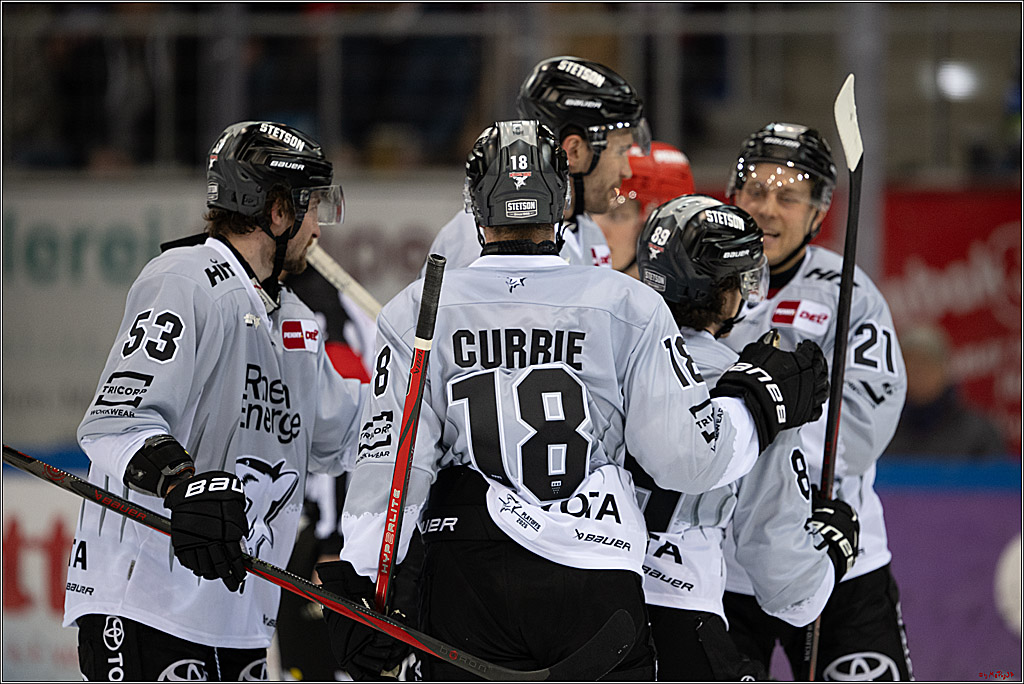 PENNY DEL 1 - Playoff Viertelfinale; Fischtown Pinguins Bremerhaven - Kölner Haie; Bremerhaven, 16.03.2025