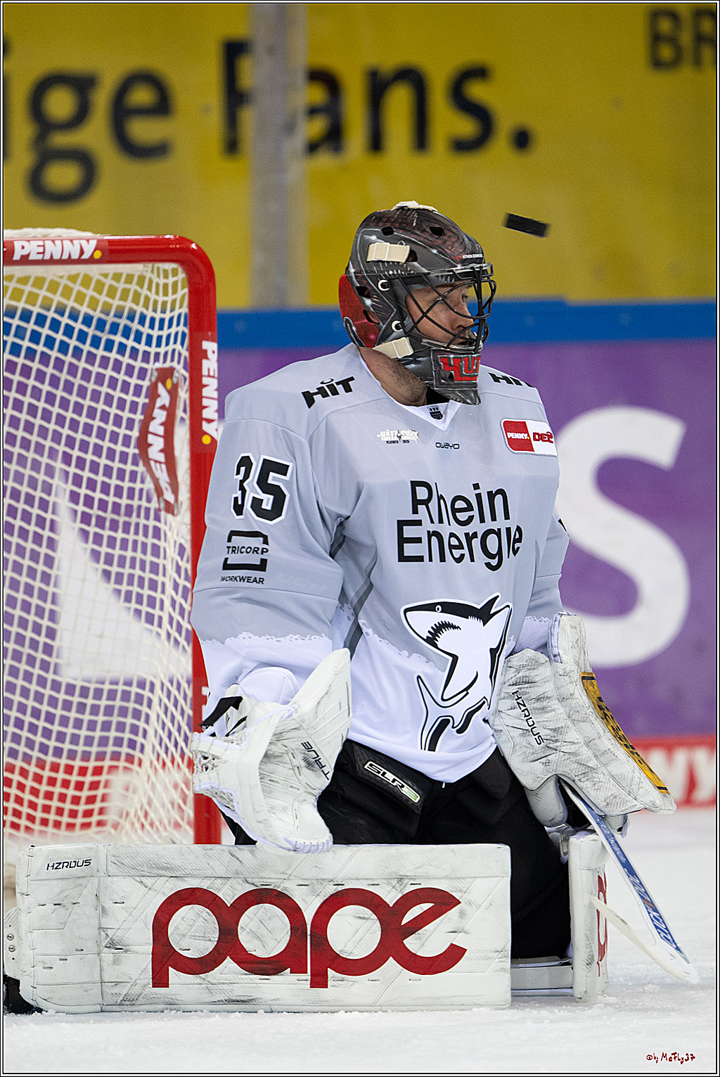 PENNY DEL 1 - Playoff Viertelfinale; Fischtown Pinguins Bremerhaven - Kölner Haie; Bremerhaven, 16.03.2025