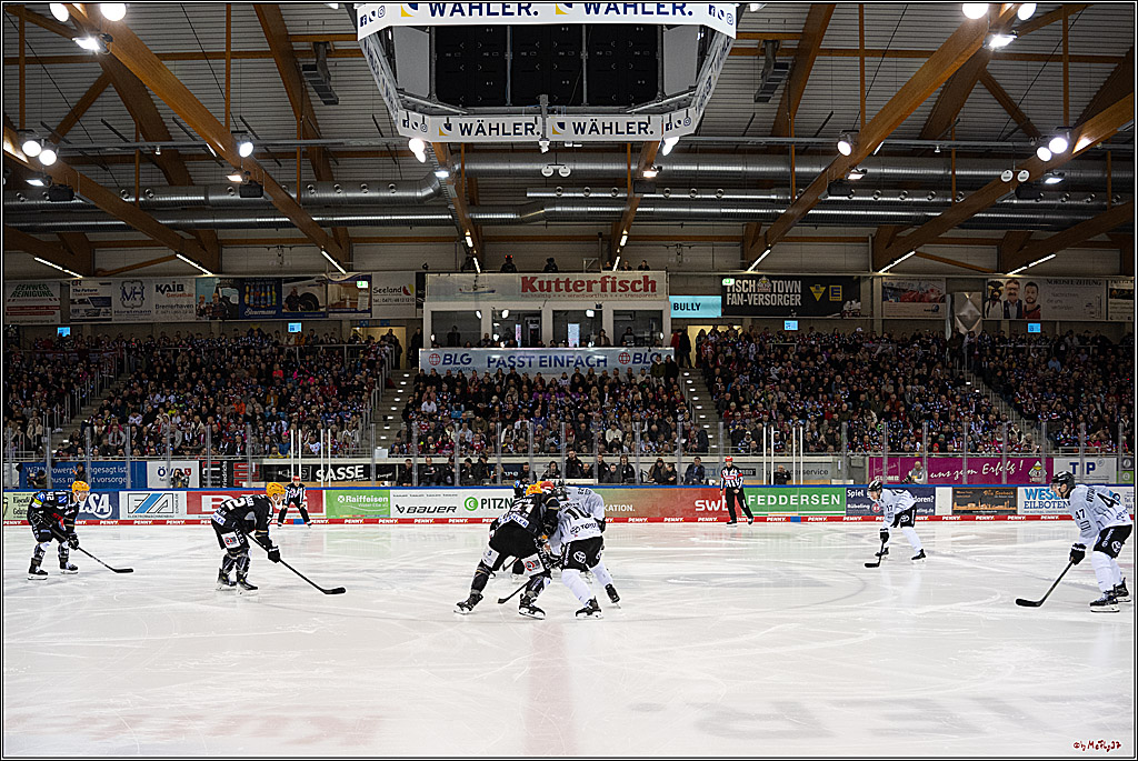 PENNY DEL 1 - Playoff Viertelfinale; Fischtown Pinguins Bremerhaven - Kölner Haie; Bremerhaven, 16.03.2025