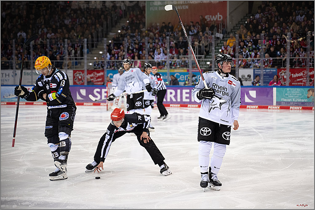 PENNY DEL 1 - Playoff Viertelfinale; Fischtown Pinguins Bremerhaven - Kölner Haie; Bremerhaven, 16.03.2025