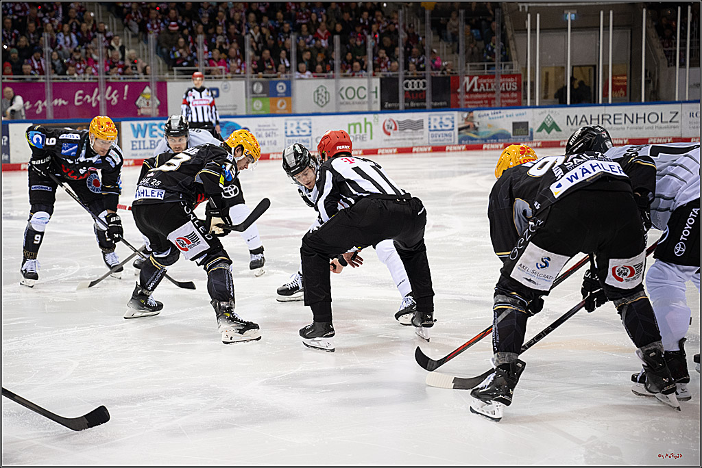 PENNY DEL 1 - Playoff Viertelfinale; Fischtown Pinguins Bremerhaven - Kölner Haie; Bremerhaven, 16.03.2025