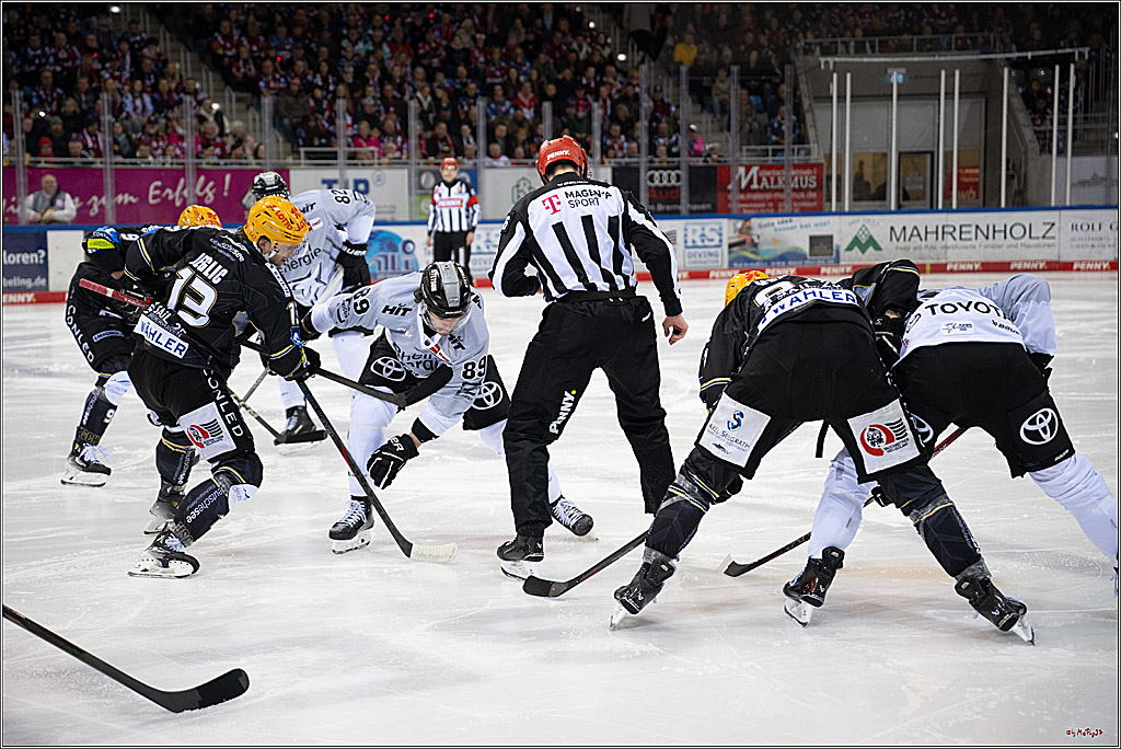 PENNY DEL 1 - Playoff Viertelfinale; Fischtown Pinguins Bremerhaven - Kölner Haie; Bremerhaven, 16.03.2025