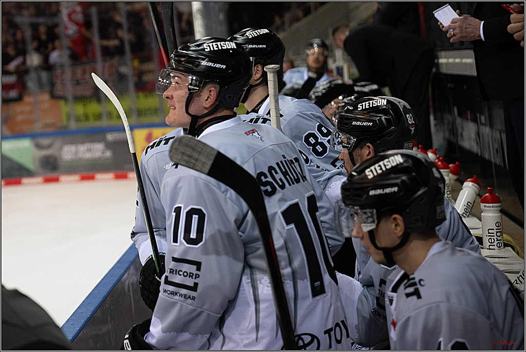 PENNY DEL 1 - Playoff Viertelfinale; Fischtown Pinguins Bremerhaven - Kölner Haie; Bremerhaven, 16.03.2025