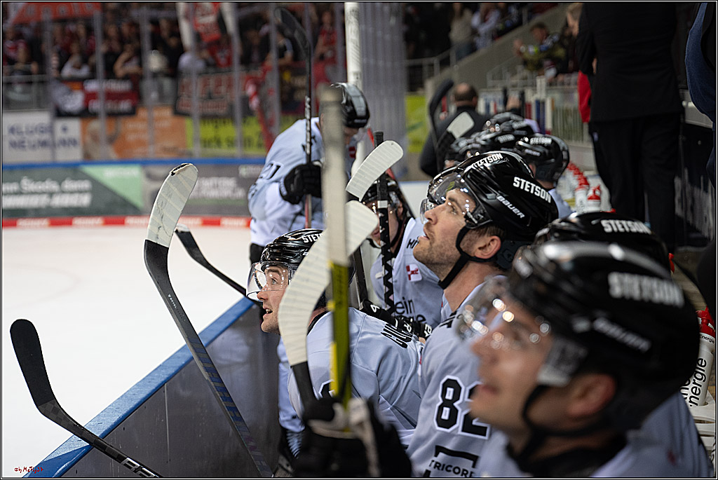 PENNY DEL 1 - Playoff Viertelfinale; Fischtown Pinguins Bremerhaven - Kölner Haie; Bremerhaven, 16.03.2025
