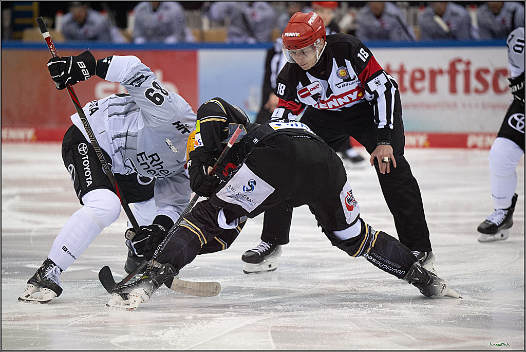 PENNY DEL; Fischtown Pinguins-Koelner Haie; Bremerhaven, 16.03.2025