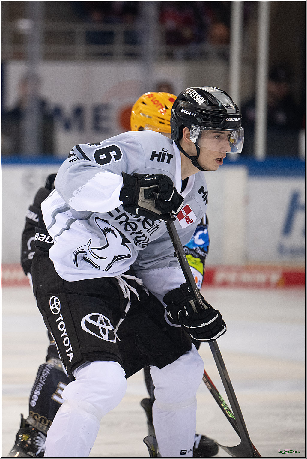 PENNY DEL; Fischtown Pinguins-Koelner Haie; Bremerhaven, 16.03.2025