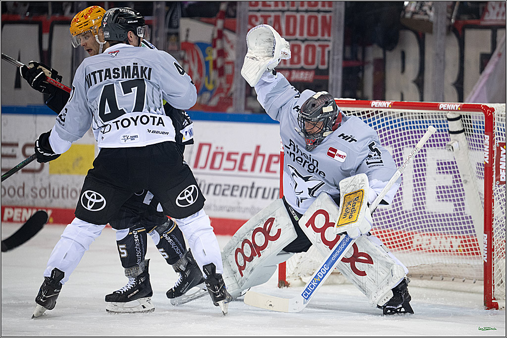 PENNY DEL; Fischtown Pinguins-Koelner Haie; Bremerhaven, 16.03.2025
