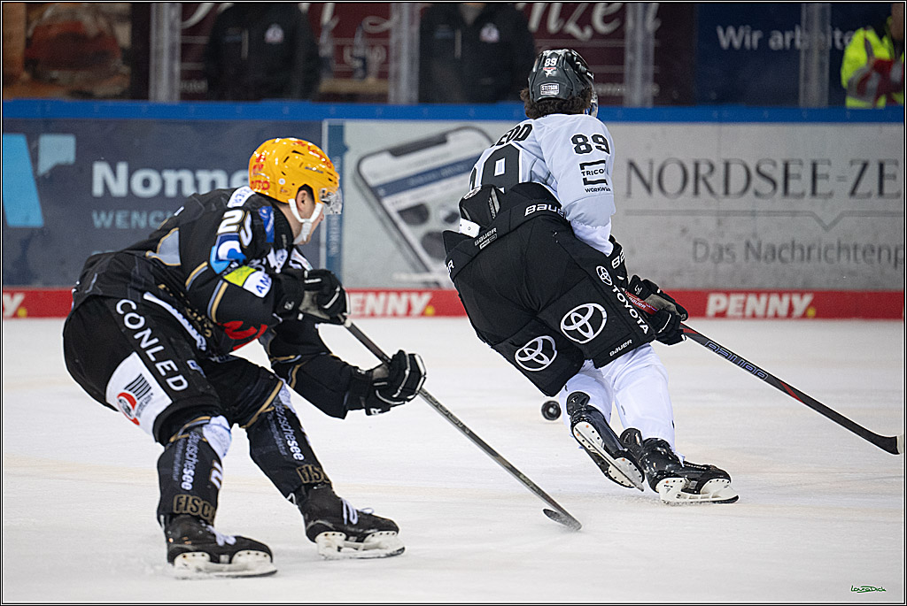 PENNY DEL; Fischtown Pinguins-Koelner Haie; Bremerhaven, 16.03.2025