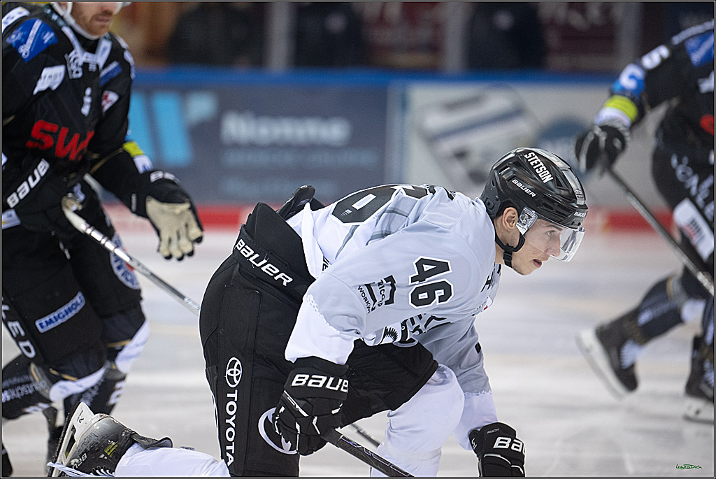 PENNY DEL; Fischtown Pinguins-Koelner Haie; Bremerhaven, 16.03.2025