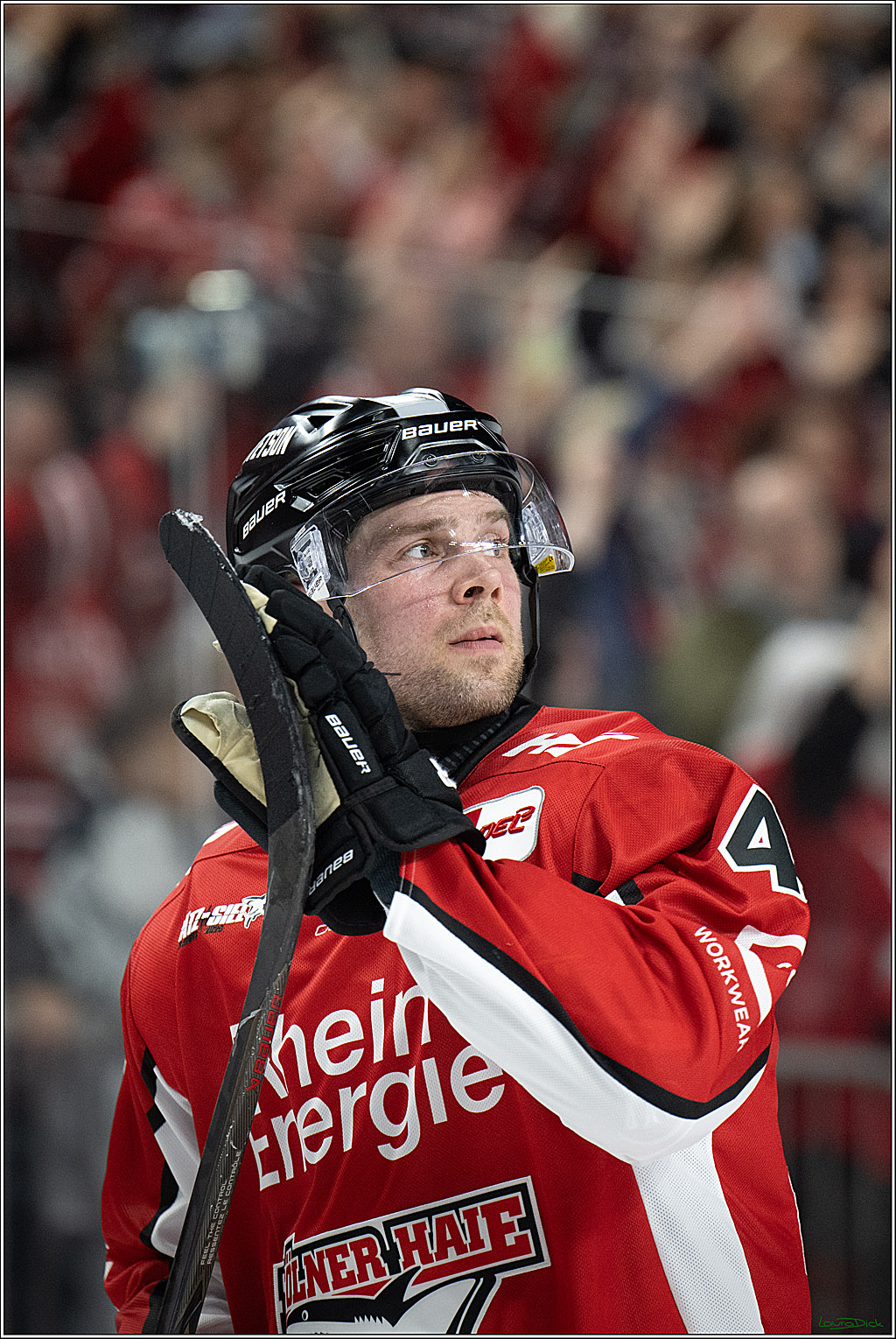PENNY DEL; Koelner Haie- Fischtown Bremerhaven; Koeln, 18.03.2025