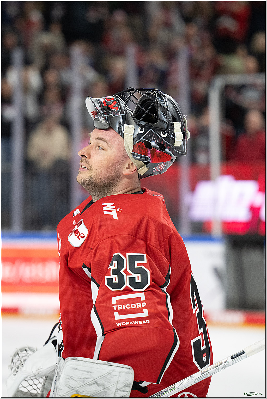 PENNY DEL; Koelner Haie- Fischtown Bremerhaven; Koeln, 18.03.2025