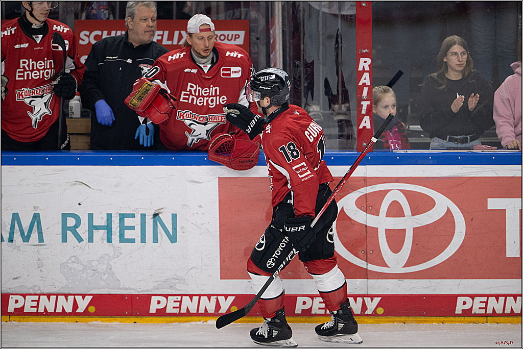 PENNY DEL 1 - Playoff Viertelfinale; Kölner Haie - Fischtown Pinguins Bremerhaven; Köln, 18.03.2025