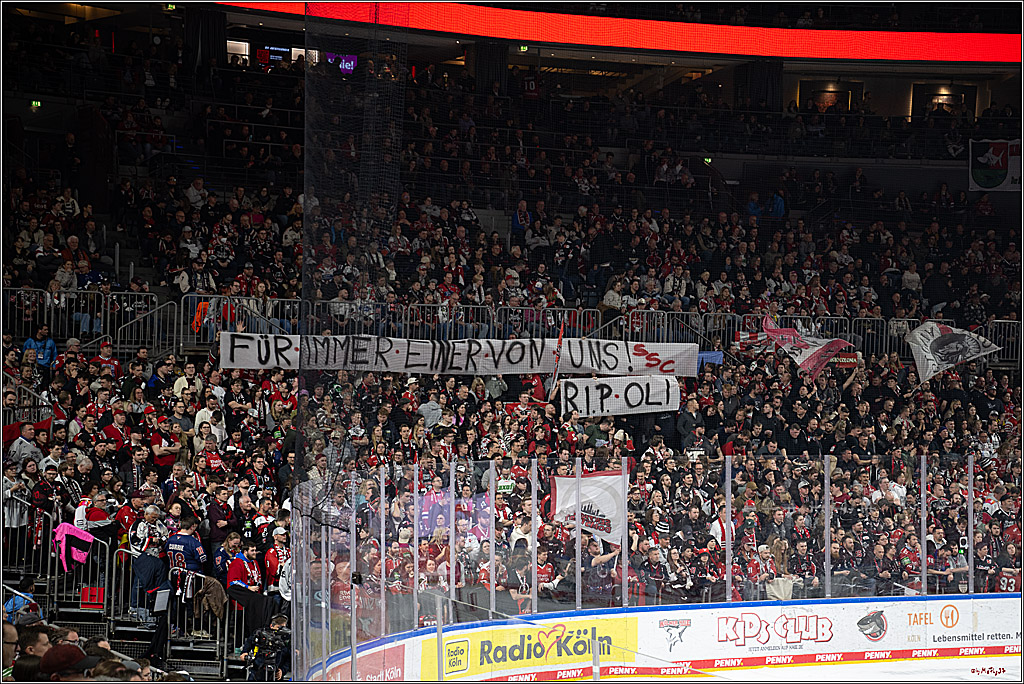 PENNY DEL 1 - Playoff Viertelfinale; Kölner Haie - Fischtown Pinguins Bremerhaven; Köln, 18.03.2025