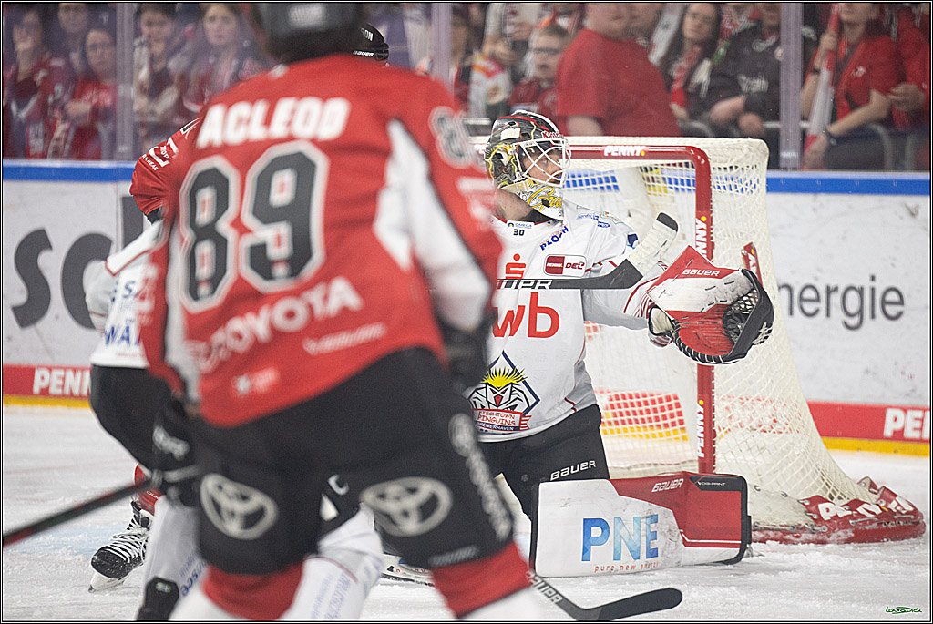 PENNY DEL; Koelner Haie- Fischtown Bremerhaven; Koeln, 18.03.2025